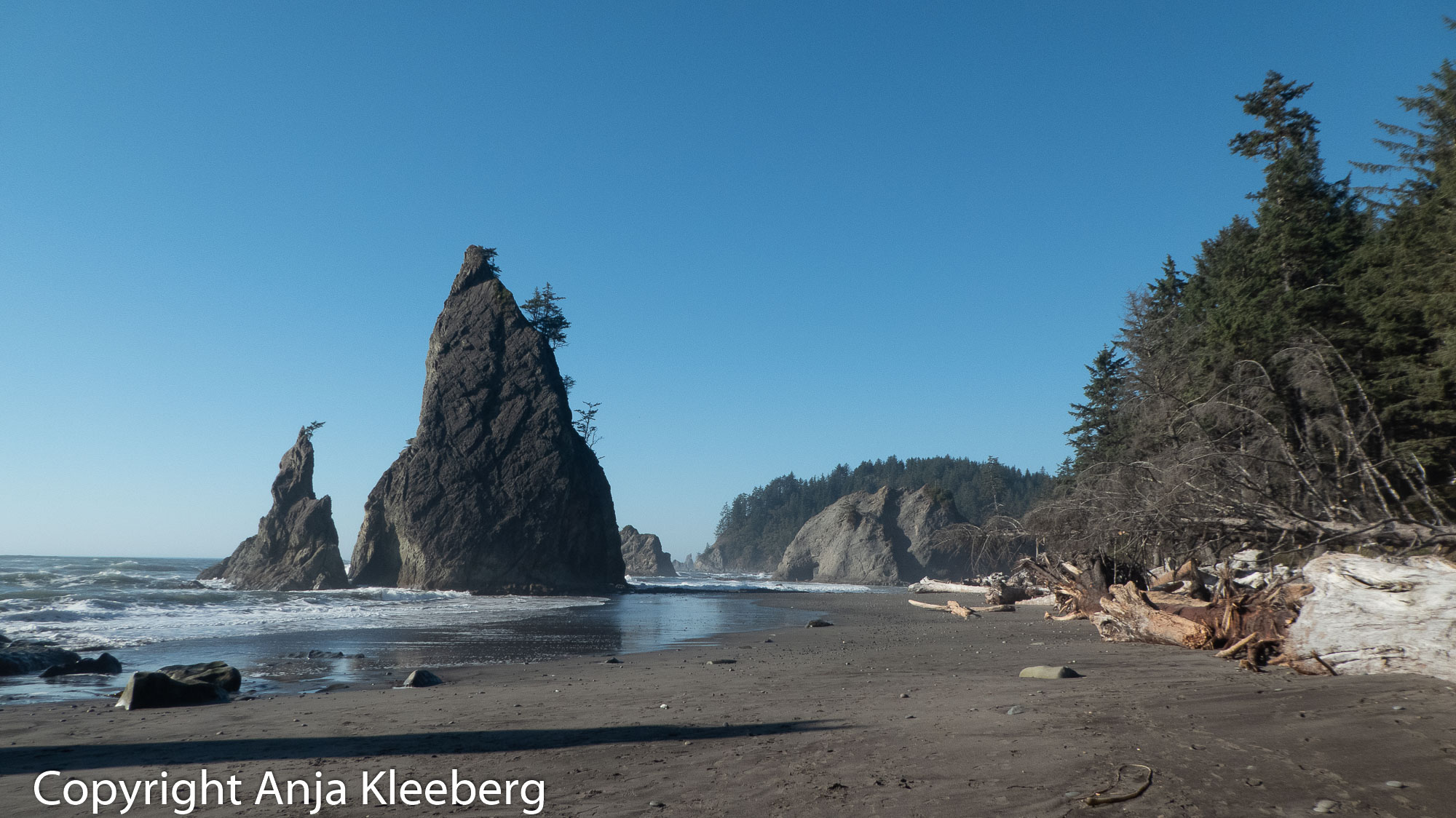 Hike Rialto Beach (OlymPen) 281017_009