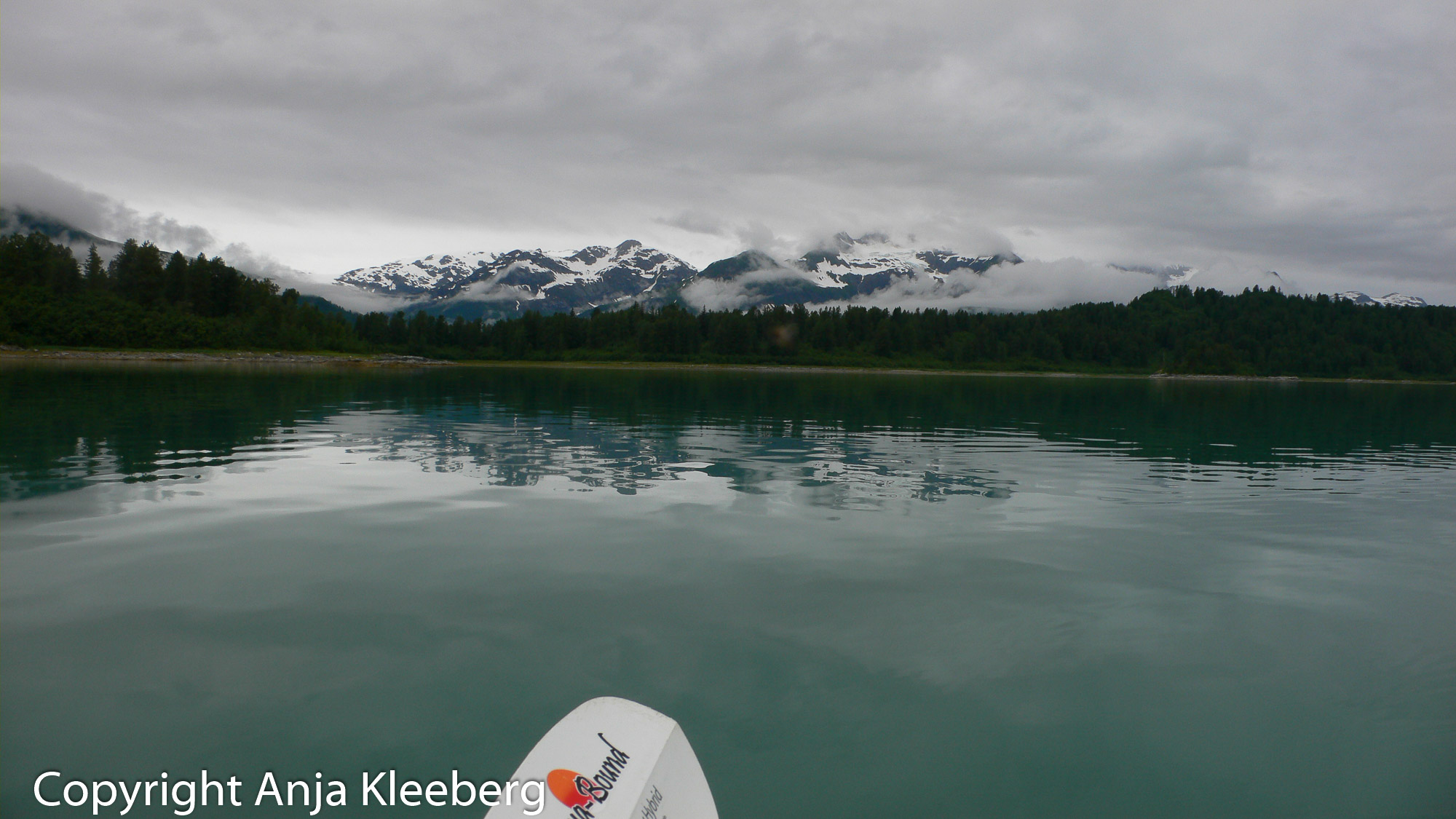 Kajaktour, Glacier Bay NP, Alaska 170717_199